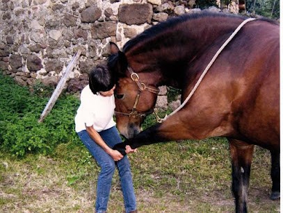 Guillermain Carole, Praticien de Médecine Alternative à Tersanne