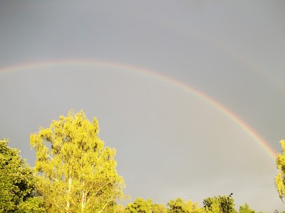 Noël Magnetiseur, Praticien de Médecine Alternative à Montagnieu