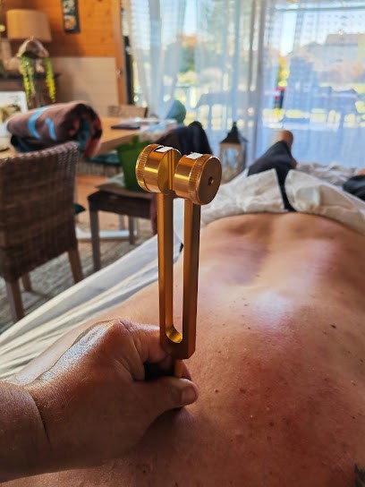 Domi Magnétiseur, Praticien de Médecine Alternative à Saint-Georges-d'Oléron