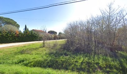 Sylvie Nicolas-Freitas / Naturopathe, Massages bien-être, Reiki, Praticien de Médecine Alternative à Meauzac