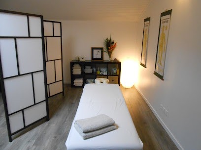 Raphaël Sierra - Yin Shiatsu Et Médecine Chinoise Bordeaux, Praticien de Médecine Alternative à Mérignac