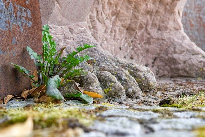 Florence Robelet Naturopathe, Praticien de Médecine Alternative à Lagnieu