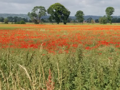 Blond Eric HYPNO CAUX, Hypnothérapeute à Terres-de-Caux
