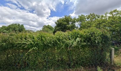 Magnétiseur, Reiki, Vendée - Les Mains d'Or 85, Praticien de Médecine Alternative à Château-Guibert