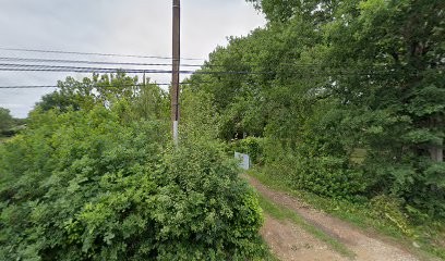 Amélie Reuzé - Naturopathe - Masseuse, Praticien de Médecine Alternative au Porge