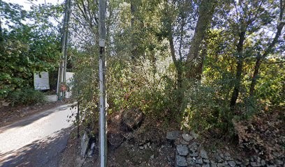 Roxane Avakian Soins énergétiques Axiothérapie Antibes, Praticien de Médecine Alternative à Valbonne