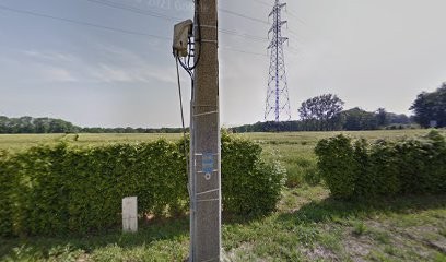 Melino Alexandra Naturopathe, Praticien de Médecine Alternative à Saint-Vincent-Cramesnil