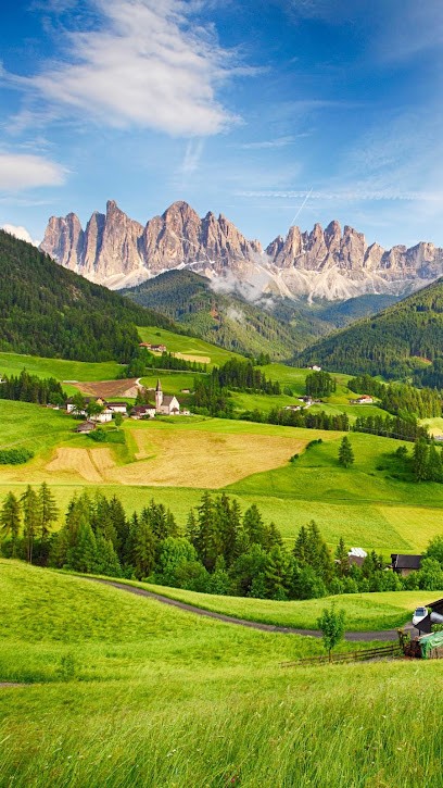 Frieh Francois IRIDOLOGUE, Naturopathe, Praticien de Médecine Alternative au Hohwald