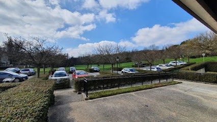Réflexologie Varennes (Natreflexo), Réflexologue à Varennes-Jarcy