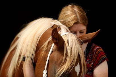 Communication Animale, Shiatsu, Soins énergétiques Reiki, Corinne Brisset, Praticien de Médecine Alternative aux Ponts-de-Cé