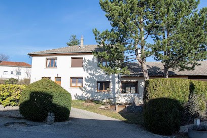 Dominique Tardy - Praticien De La Reconnexion, Praticien de Médecine Alternative à Saint-Just-Malmont