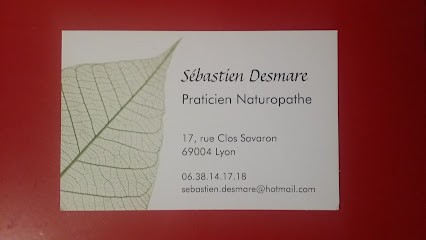 Naturopathe Lyon : Naturopathe Sébastien DESMARE NAET, Praticien de Médecine Alternative à Lyon 05