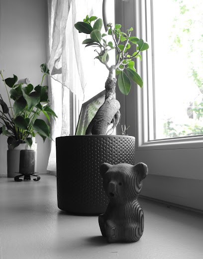 Valérie KAMENAN, Praticien de Médecine Alternative à Isle