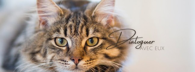 Marion Peluso, Praticien de Médecine Alternative à Soustons