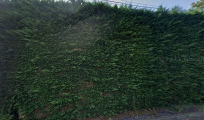 Karine Leschi - Réflexologue En énergétique Chinoise, Réflexologue à Maucor