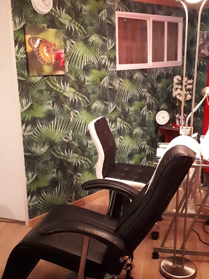  HYPNOSENS  Hypnose/pnl, Hypnothérapeute au Cendre