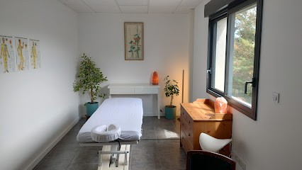 TuinAlp - Soins Traditionnels Chinois - Massage TuiNa Par Stéphane Rousseau, Praticien de Médecine Alternative à Villemoirieu