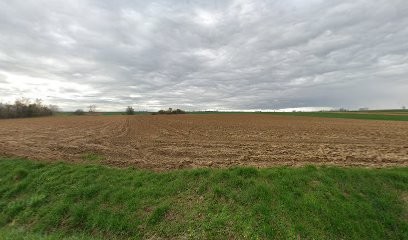 Mallo Christian Barreur du feu,magnétiseur, sourcier., Praticien de Médecine Alternative à Wickersheim-Wilshausen