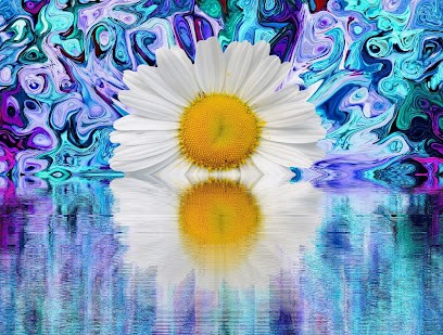 Karine Amans - ARLES Naturopathie-alpilles-camargue, Praticien de Médecine Alternative à Arles