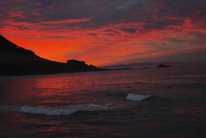 Energéticienne Charlotte Albinet, Praticien de Médecine Alternative à Trèves