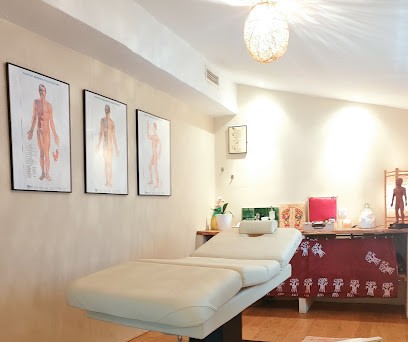 Praticienne en Médecine Traditionnelle Chinoise-GUIRAUD Chloé, Praticien de Médecine Alternative à Castelnaudary