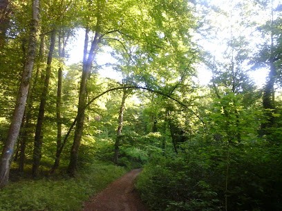 La Pause Mieux Etre Cécile Miclo Sophrologue, Praticien de Médecine Alternative à Norroy-lès-Pont-à-Mousson