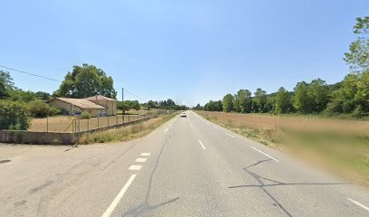 naturopathe Nathalie DUCHAMPT, Praticien de Médecine Alternative à Chavannes