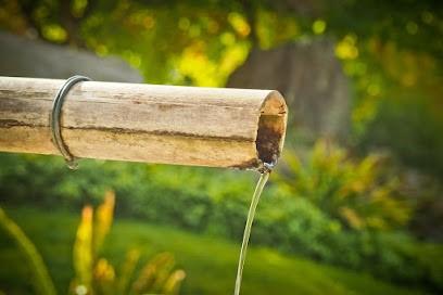Pauline MAUZAC - Energétique Traditionnelle Chinoise, Praticien de Médecine Alternative à Lamure-sur-Azergues