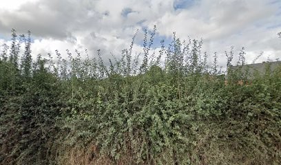 Dr. Jean BERTHE, Praticien de Médecine Alternative à Louvignies-Quesnoy