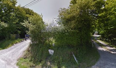 BIZET HYPNOSE, Hypnothérapeute à Montigné-le-Brillant