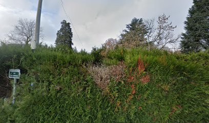 Laure Attal-Rozé, Praticien de Médecine Alternative à Mouroux