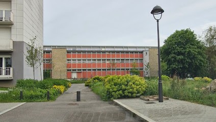Lise Sanguedolce Sophrologue, Praticien de Médecine Alternative à Saint-Dizier