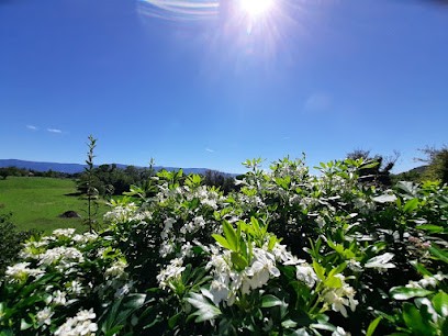 Maud SAVET Astrologue Magnétiseuse, Praticien de Médecine Alternative à Varacieux