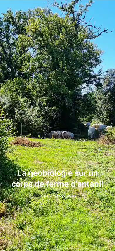Anna Soriano Géobiologue - Magnétiseuse - Radiesthésiste - Soins De Libération À Cannes - Domicile Ou À Distance, Praticien De Médecine Alternative à Cannes
