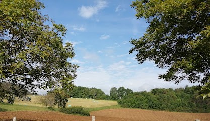 Sylvie BOLZER -Naturopathie/Aroma-Phyto-Gemmo/Mycothérapie/Nutrition/Massothérapie/Stress, Praticien de Médecine Alternative à Saint-Pardoux-la-Rivière