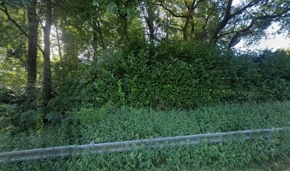 Hypnose à Distance - Transformez Votre Vie Avec Karine Lo Surdo, Hypnothérapeute à Cholet