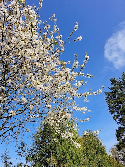 Olivier Claverie, Santé & Bien-être, Praticien de Médecine Alternative à Saint-Senoux