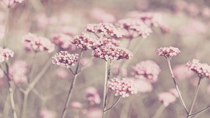 Isabelle Materne Naturopathe, Praticien de Médecine Alternative à Molsheim