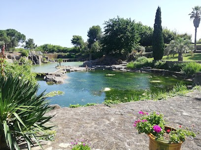 Hypnothérapeute Nathalie Rey, Hypnothérapeute à Moirans