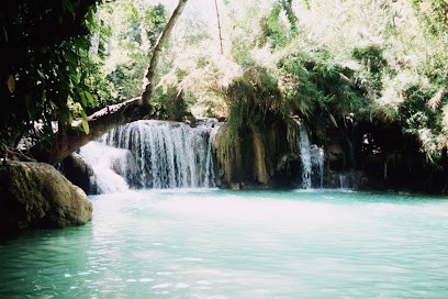 Sarah VANDEWEGHE Naturopathe, Praticien de Médecine Alternative à Metz