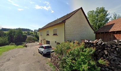 Magnétiseur, Praticien de Médecine Alternative à Plaine