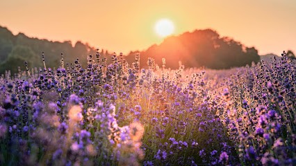 May-Linh TRINH Naturopathie holistique : corps et esprit, Praticien de Médecine Alternative à Grenoble