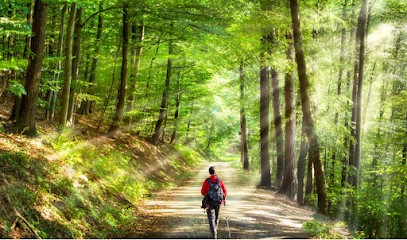 Soleila Naturopathie, Praticien de Médecine Alternative à Saint-Germain-en-Laye