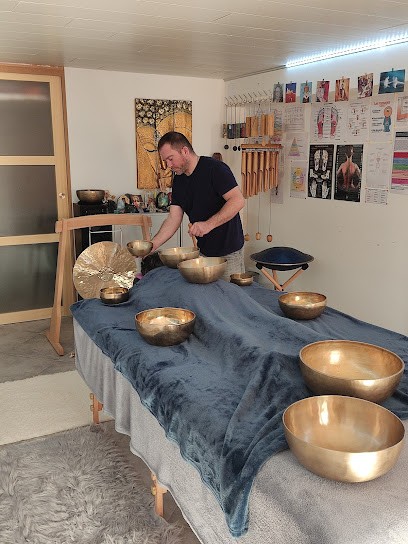 Gréteau Johann SOPHROLOGUE MAGNETISEUR LES HERBIERS, Praticien de Médecine Alternative à Sèvremont