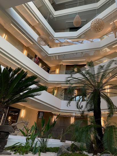 Corinne Cablat - Neurofeedback Dynamique NeurOptimal®, Praticien de Médecine Alternative à Castelnau-le-Lez