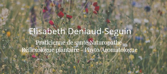 DENIAUD-SEGUIN Elisabeth, Praticien de Médecine Alternative à La Roche-sur-Yon