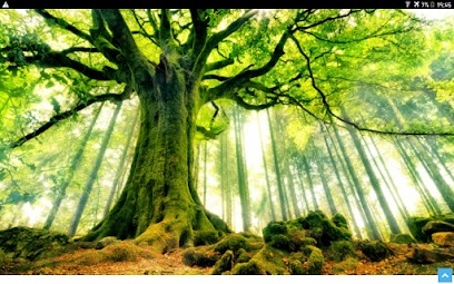 Tatiana PETRYUK Magnétiseuse Coupeur de Feu Energéticienne Thérapeute, Praticien de Médecine Alternative à Malleval