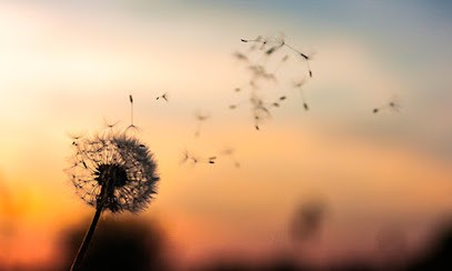 Adeline Messelot Sophrologue Certifiée RNCP - Thanadoula - Bols Tibetain, Praticien de Médecine Alternative à Palise