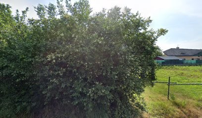 Magnétiseur Bretagne Benoit Bechennec, Praticien de Médecine Alternative à Treffiagat