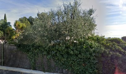 Alain Brignon Psychopraticien Et Coach, Hypnothérapeute à Bandol